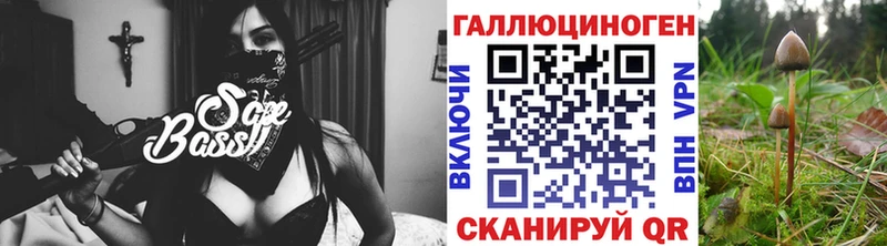 где можно купить   Райчихинск  Псилоцибиновые грибы Psilocybine cubensis 